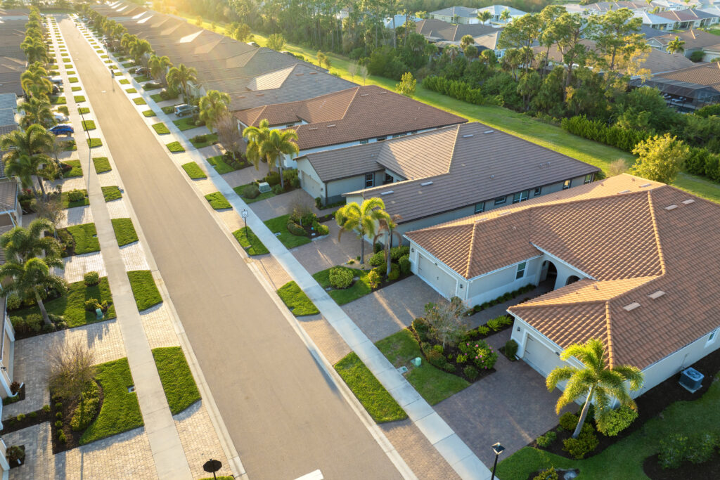 Suburban neighborhood with palm trees.